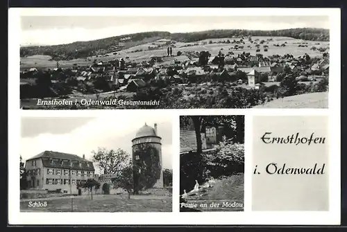 AK Ernsthofen i. Odenwald, Gesamtansicht, Schloss und Partie an der Modau