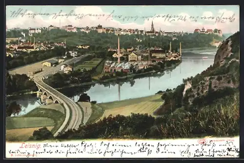 AK Leisnig, Gesamtansicht