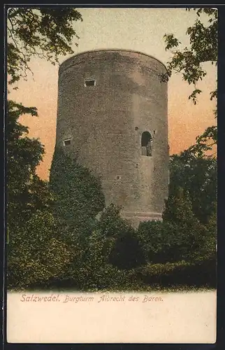 AK Salzwedel, Burgturm Albrecht des Bären