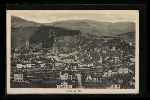 AK Bruck a. Mur, Generalansicht