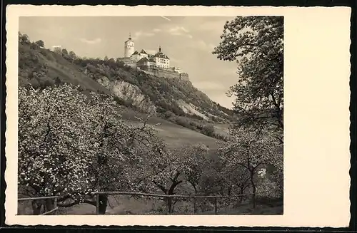 AK Forchtenstein, Blick hinauf zur Burg