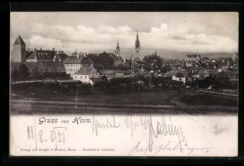 AK Horn, Generalansicht mit Kirche und Schloss