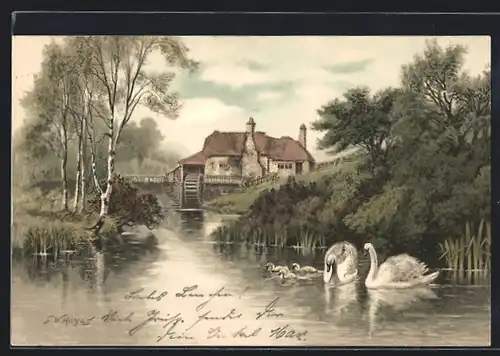 Künstler-AK Meissner & Buch (M&B) Serie 1189: Schwäne auf einem Weiher vor einer Wassermühle