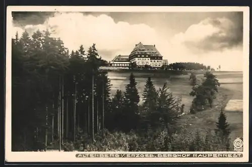 Foto-AK Walter Hahn, Dresden, NR 6826: Altenberg, Berghof Raupennest