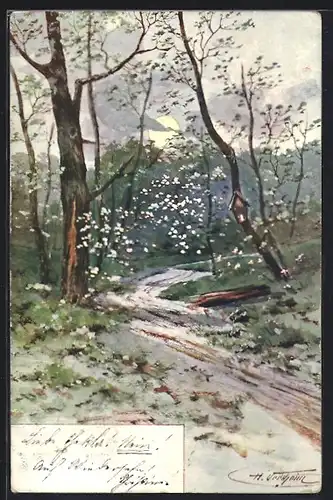 Künstler-AK Brüder Kohn (B.K.W.I) Nr. 737-4: Frühlingserwachen im Wald