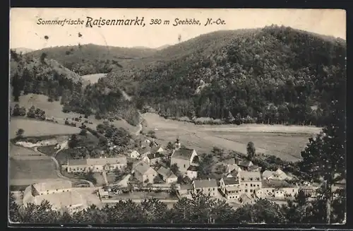 AK Raisenmarkt, Ortsansicht aus der Vogelschau