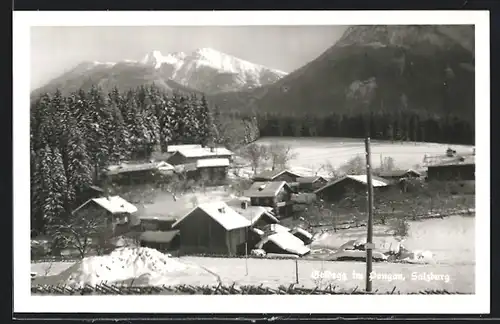 AK Goldegg im Pongau, Ortsansicht aus der Vogelschau
