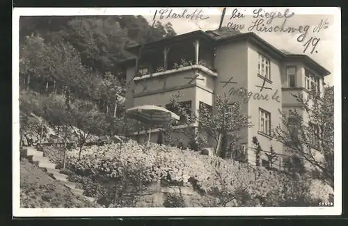 Foto-AK Leutenberg / Thür., Hotel-Pension Siegel im Hirschweg 19