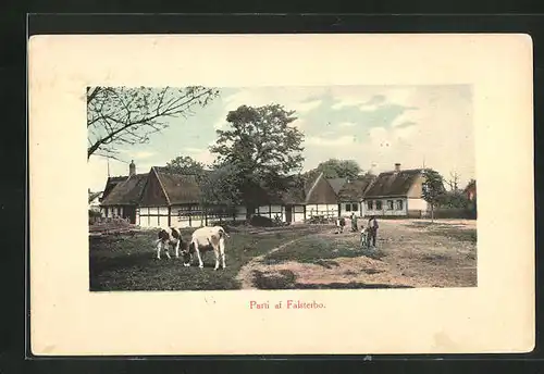 AK Falsterbo, Bauernhäuser und Kühe