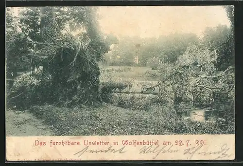 AK Wolfenbüttel, Entwurzelte Bäume nach dem Unwetter 23.7.1899