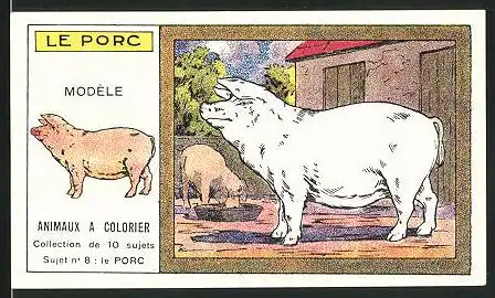 Kaufmannsbild Bravard Fréres & Cie., Costumes pour Enfants, Le Porc, Ansicht von zwei Schweinen