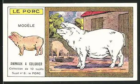 Kaufmannsbild Bravard Fréres & Cie., Costumes pour Enfants, Le Porc, Ansicht von zwei Schweinen