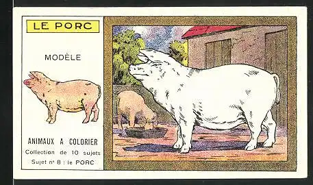 Kaufmannsbild Bravard Fréres & Cie., Costumes pour Enfants, Le Porc, Ansicht zweier Schweine