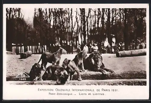 AK Paris, Exposition coloniale internationale 1931, Parc Zoologique, Lions et Lionnes