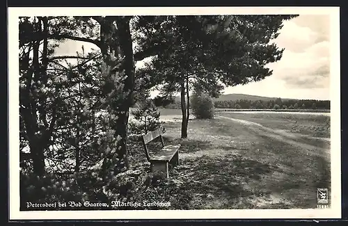 AK Petersdorf bei Bad Saarow, Märkische Landschaft