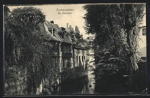 AK Aschersleben, Am Dammtor