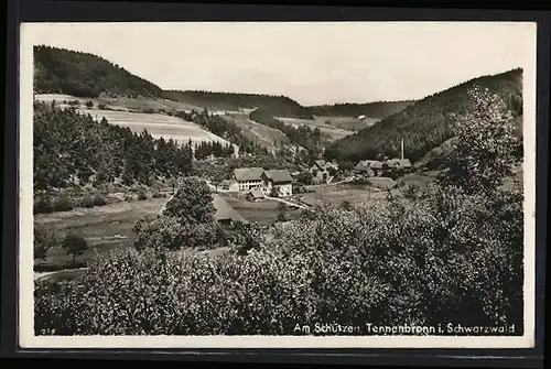 AK Tennenbronn im Schwarzwald, Gasthaus am Schützen