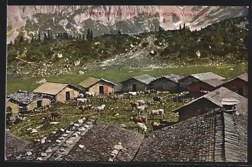 AK Tschagguns, Spora Alpe an der Lindauer Hütte
