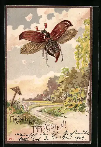 AK Pfingstgruss mit Maikäfer