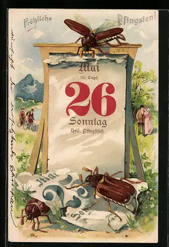 AK Fröhliche Pfingsten, Maikäfer reissen den letzten Tag vom Kalender vor dem Pfingstfest ab