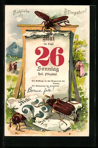 AK Fröhliche Pfingsten, Maikäfer reissen den letzten Tag vom Kalender vor dem Pfingstfest ab