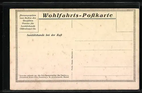 AK Sanitätshund bei der Raft