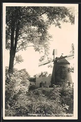 AK Podersdorf a. See, Blick auf die Windmühle