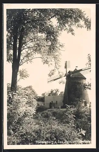 AK Podersdorf a. See, Windmühle im Tageslicht
