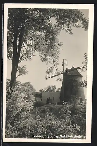 AK Podersdorf a. See, Stillstehende Windmühle