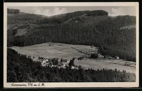 AK Herrenwies /Schwarzwald, Gesamtansicht des Luftkurortes