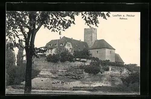 AK Lauffen a. Neckar, Blick auf das Rathaus