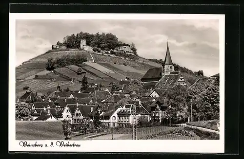 AK Weinsberg a. d. Weibertreu, Ortsansicht mit Ruine im Hintergrund