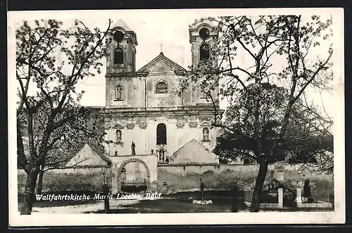 AK Maria Loretto /Burgenland, Wallfahrtskirche Maria Loretto