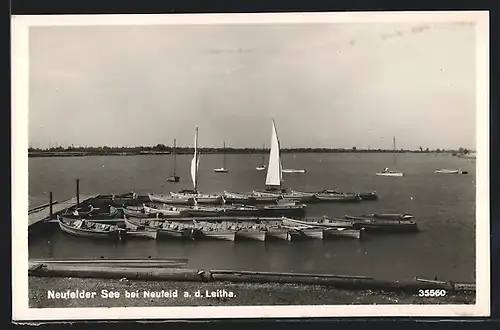 AK Neufeld a. d. Leitha, Neufelder See mit Booten