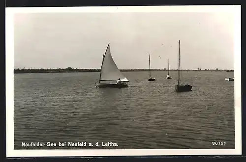 AK Neufeld a. d. Leitha, Neufeldersee mit Booten