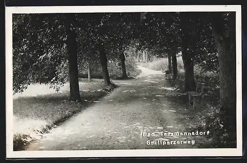 AK Bad Tatzmannsdorf, Grillparzerweg mit Bäumen