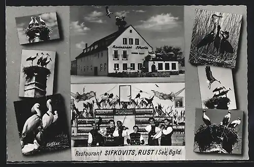 AK Rust /Neusiedler See, Restaurant Sifkovits