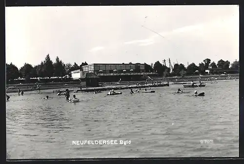 AK Neufeldersee, Uferpartie mit Badenden