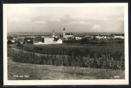 AK Rust am See, Panoramablick von der Feldwiese