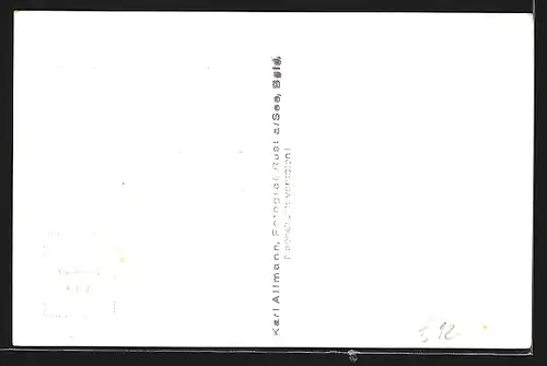 AK Rust am Neusiedlersee, Teilansicht mit Kirche