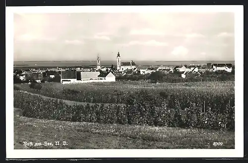 AK Rust am See, Panorama mit Kirche