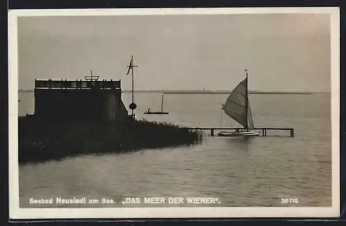 AK Neusiedl am See, Blick über Das Meer der Wiener