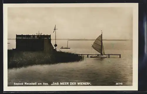 AK Neusiedl am See, Blick über Das Meer der Wiener