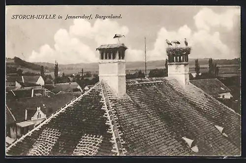 AK Jennersdorf, Storch-Idylle