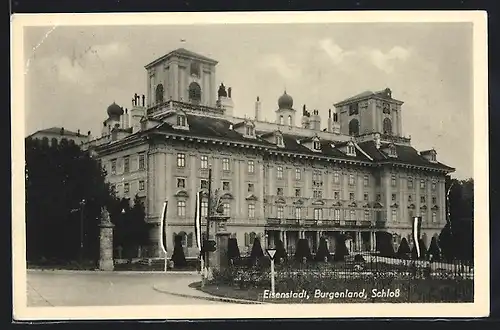 AK Eisenstadt, Schloss, Strassenansicht