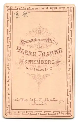 Fotografie Bernh. Franke, Spremberg, Hübsche Frau mit Rüschenkragen, Brosche und edler Frisur