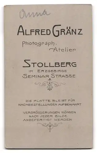 Fotografie Alfred Gränz, Stollberg, Seminar Strasse, Gutbürgerliche Dame im langen Rock und mit Bluse