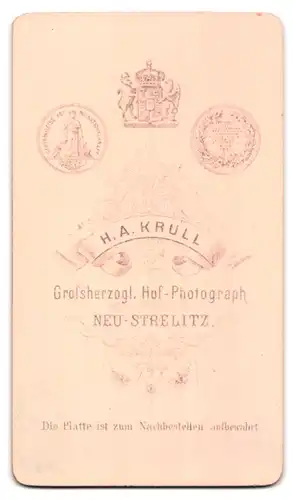 Fotografie H. A. Krull, Neu-Strelitz, Zwei niedliche Jungen, einer in lässiger Pose der andere mit trotzigem Blick