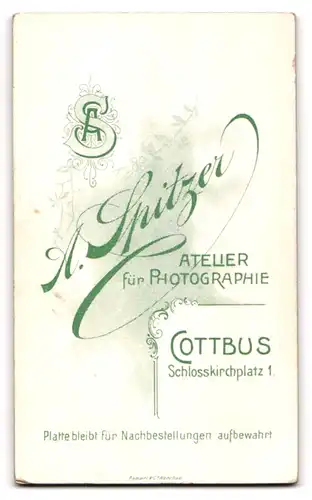 Fotografie A. Spitzer, Cottbus, Schlosskirchplatz 1, Junger gutaussehender Mann mit leichtem Schnauzbart und Fliege