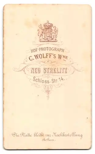 Fotografie C. Wolff`s Wwe., Neu-Strelitz, Schloss Str. 14, Hübsche junge Frau mit eleganten Ohrringen und Kette